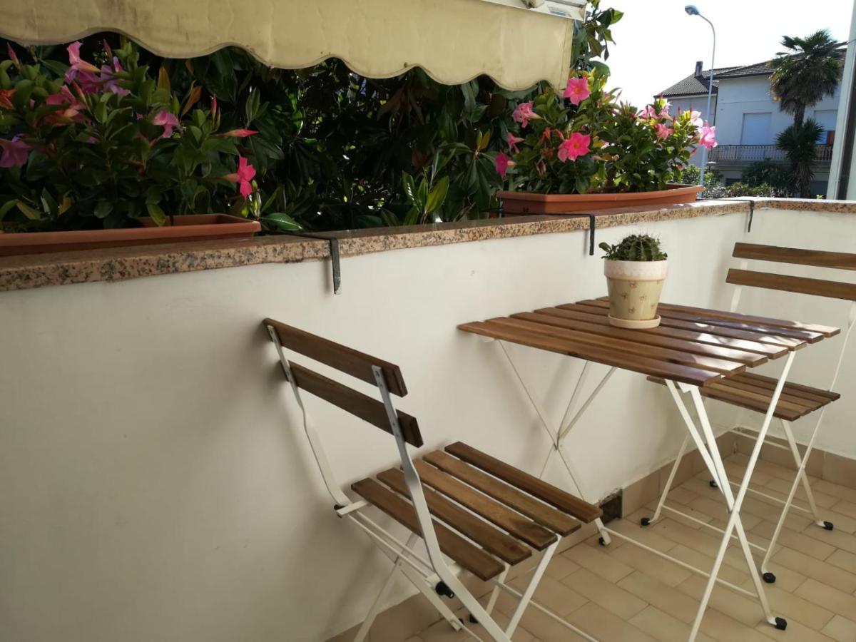 西维尔诺瓦·马尔凯A Casa Di Tati住宿加早餐旅馆 外观 照片