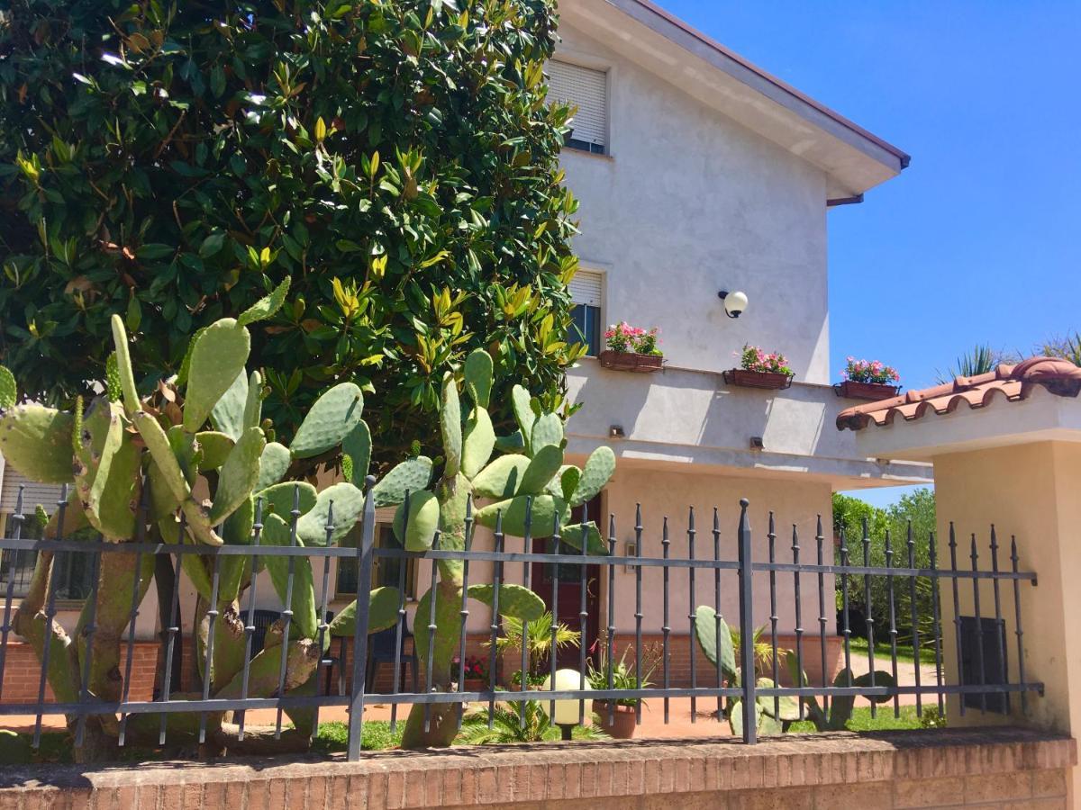 西维尔诺瓦·马尔凯A Casa Di Tati住宿加早餐旅馆 外观 照片